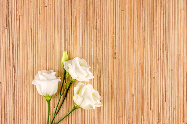 Similar image 14513480