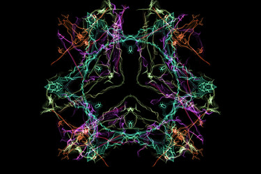 Similar image 14511576