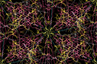 Similar image 14511610