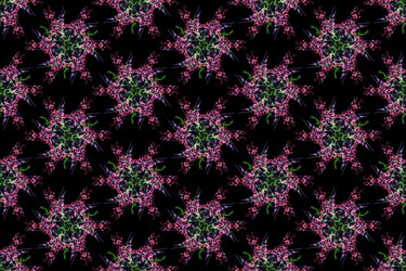 Similar image 14511683