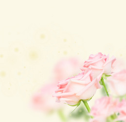 Similar image 14873567