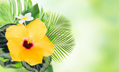 Similar image 14873568