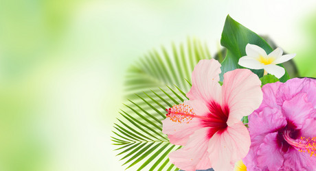 Similar image 14873574