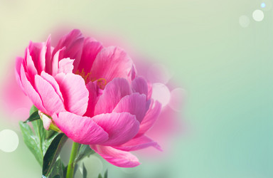 Similar image 14873847