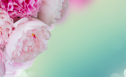 Similar image 14873884