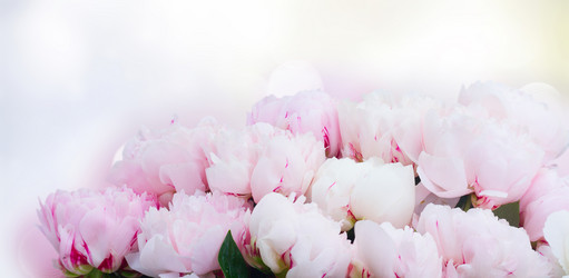 Similar image 14873886