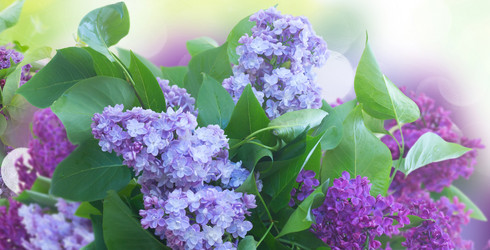 Similar image 14874032