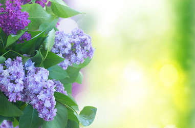 Similar image 14986115