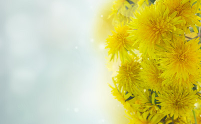 Similar image 14986794