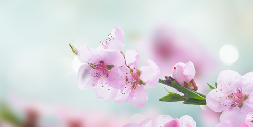 Similar image 14873415