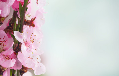 Similar image 14873417