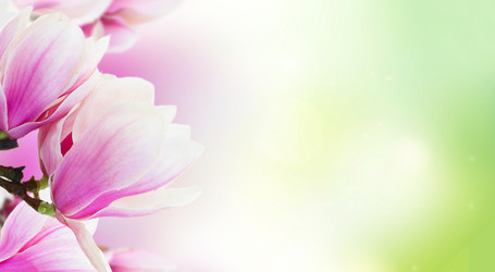 Similar image 14873889