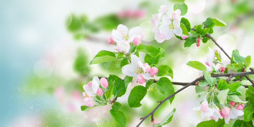 Similar image 14873898