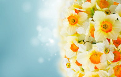 Similar image 14873900