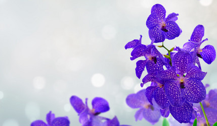 Similar image 14874046