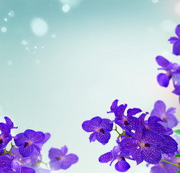 Similar image 14874048