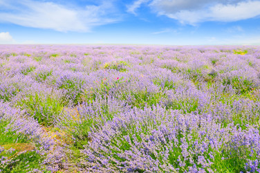 Similar image 14512968