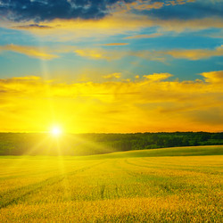 Similar image 14512972