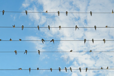 Similar image 14512976