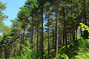 Similar image 14512977