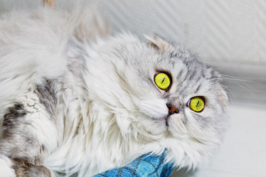 Similar image 14513866