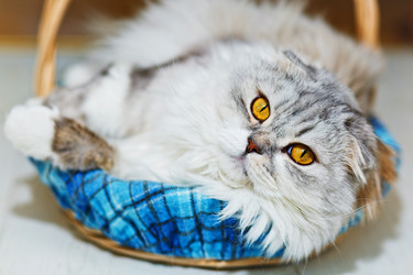 Similar image 14513880