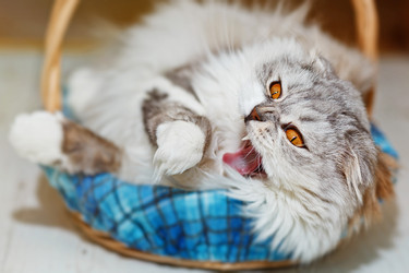 Similar image 14513883