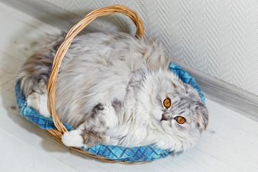 Similar image 14513901