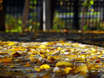 Similar image 14512901