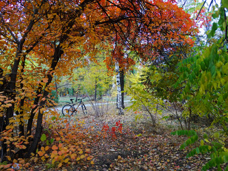 Similar image 14512903