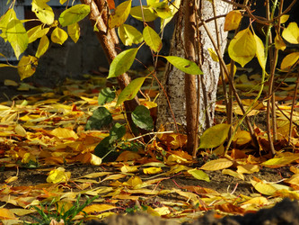 Similar image 14512905