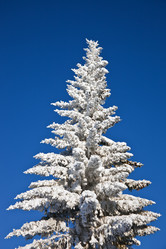 Similar image 14987254