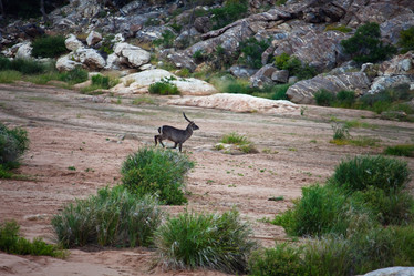 Similar image 14987498