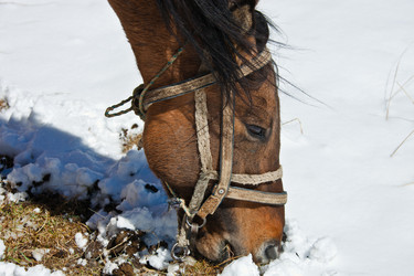 Similar image 14988000