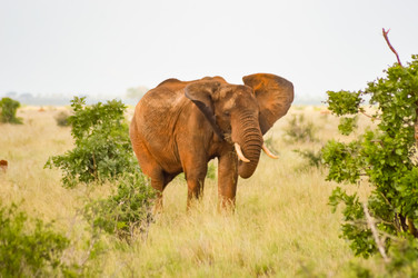 Similar image 14970751