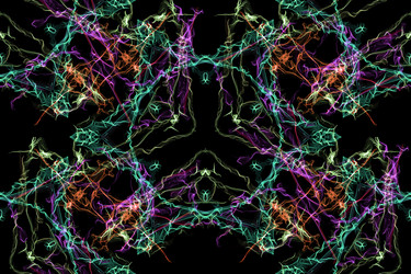 Similar image 14515569