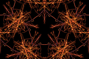 Similar image 14515648