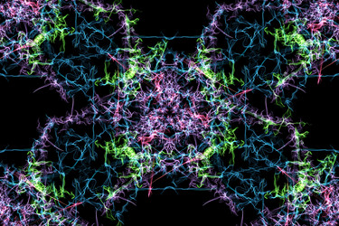 Similar image 14515993