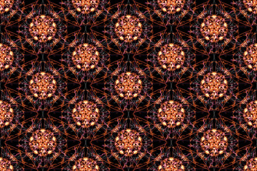 Similar image 14516041