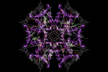 Similar image 14516103