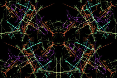 Similar image 14516067