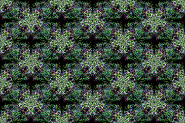 Similar image 14516074