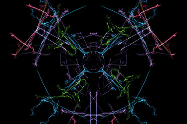 Similar image 14516037