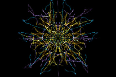 Similar image 14516092