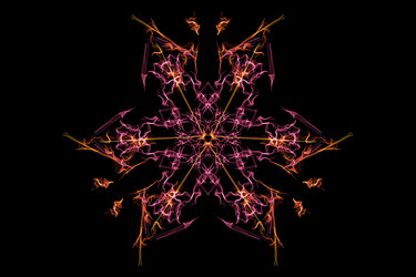 Similar image 14516134