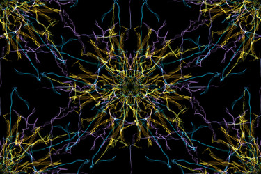 Similar image 14515662