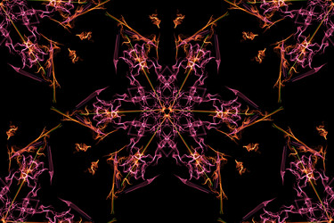 Similar image 14515663