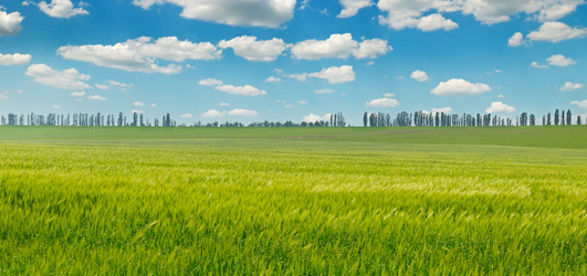 Similar image 14515051