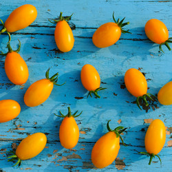 Similar image 14515053