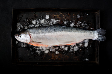 Similar image 14512896